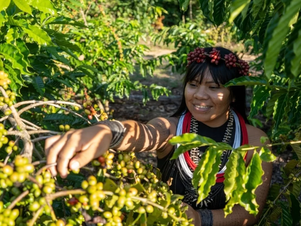 Primeira barista indígena do Brasil transforma o café amazônico em símbolo de cultura, autonomia e inovação