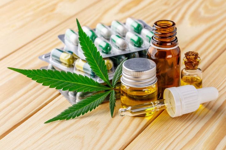 MEDICAMENTOS: Governo Federal Apresenta Plano para Regulamentação de Cannabis Medicinal