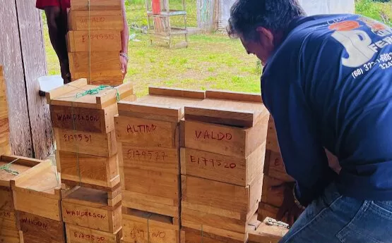 INVESTIMENTO: SEAGRI Fortalece a Cadeia Produtiva do Mel e Promove a Produção Sustentável na Região