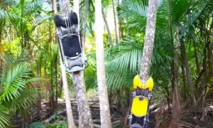 TECNOLOGIA: Açaibot o Robô de Colheita do Açaí Revolução Nacional na Amazônia