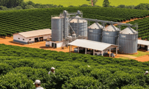 INVESTIGAÇÃO: Agro Brasileiro na Mira de Trump; EUA Acusam Agronegócio de Desmatamento Ilegal
