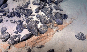 PATRIMÔNIO: Brasil Reivindica Ilha Submersa Rica em Minerais Estratégicos