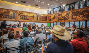 REGULARIZAÇÃO: Aleac Debate Embargos das Terras Acreanas em Audiência Pública Urgente