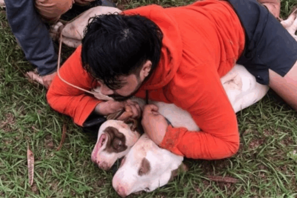 NEGLIGÊNCIA: Lutador de Muay Thai Imobiliza Dois Pitbulls Soltos Próximo a Creche no MS.