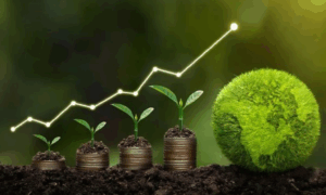 SUSTENTABILIDADE: Pequeno Agricultor Pode Lucrar com Crédito de Carbono