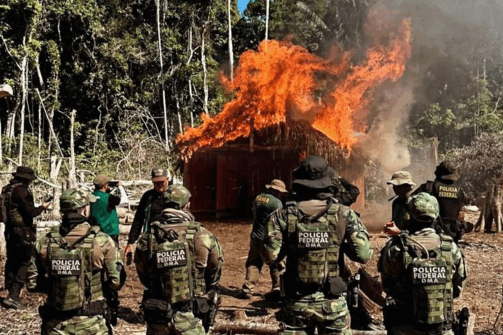 OPERAÇÃO: PF Intensifica Combate a Desmatamento e Incêndios no Acre e Sul do Amazonas