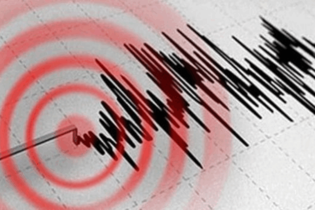 URGENTE: Terremoto de Magnitude 8,8 Abala Rússia e Japão com Tsunami e Alerta Global