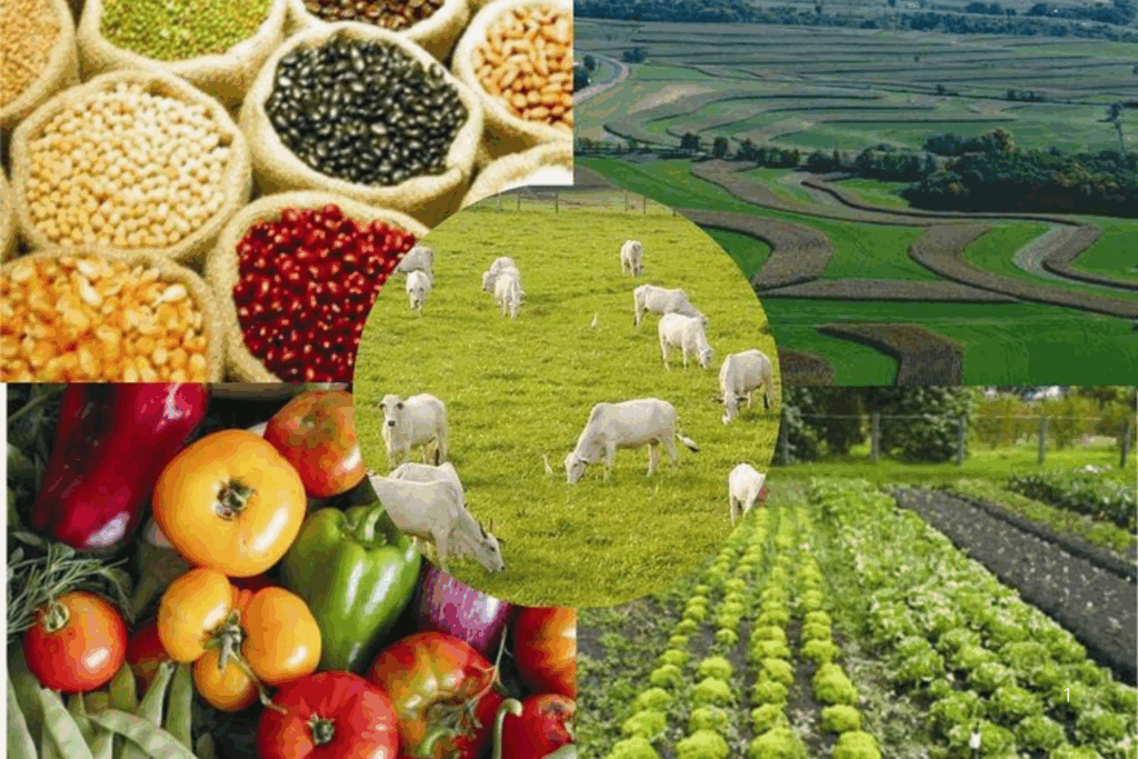 PARCERIA: Brasil e México Firmam Acordo para Impulsionar Cooperação Agropecuária