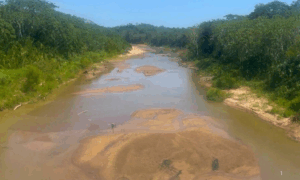 SECA: Rio Acre se Aproxima de Recorde Histórico em Brasiléia e Desabastecimento de Água na Zona Rural