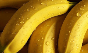 POPULAR: Dia Nacional da Banana e a Relevância para Saúde e Economia da Fruta no Brasil