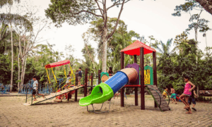 FERIADO: Festa Infantil no Parque Chico Mendes com Diversão e Aprendizado Gratuitos