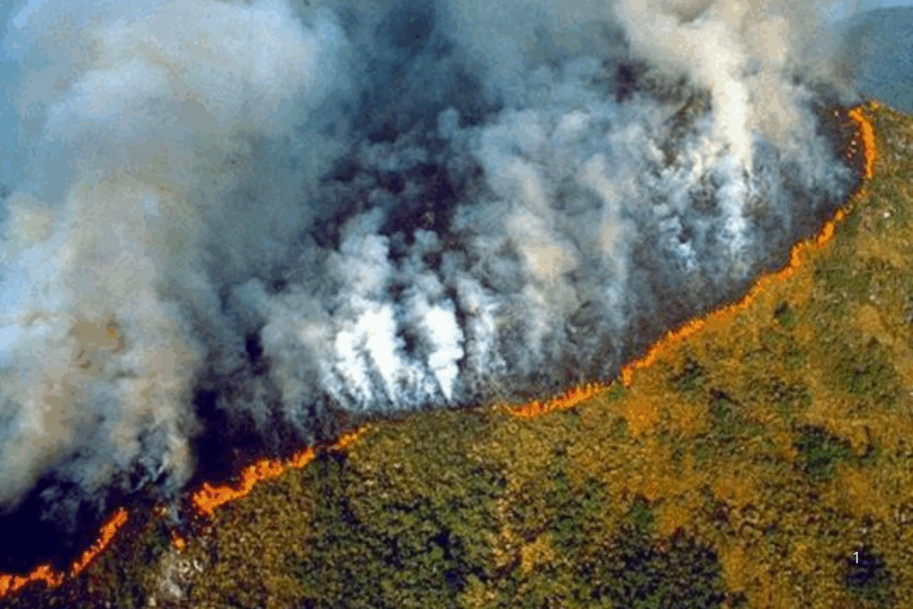 CONSEQUÊNCIAS: Impactos Visíveis das Mudanças Climáticas na Amazônia Legal
