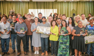 QUALIDADE: Acre Prêmio dos Melhores Cafés Robusta da Região