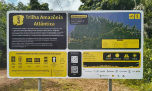 MARCO: Trilha Amazônia Atlântica, a Maior da América Latina, une Preservação e Turismo Sustentável na COP30