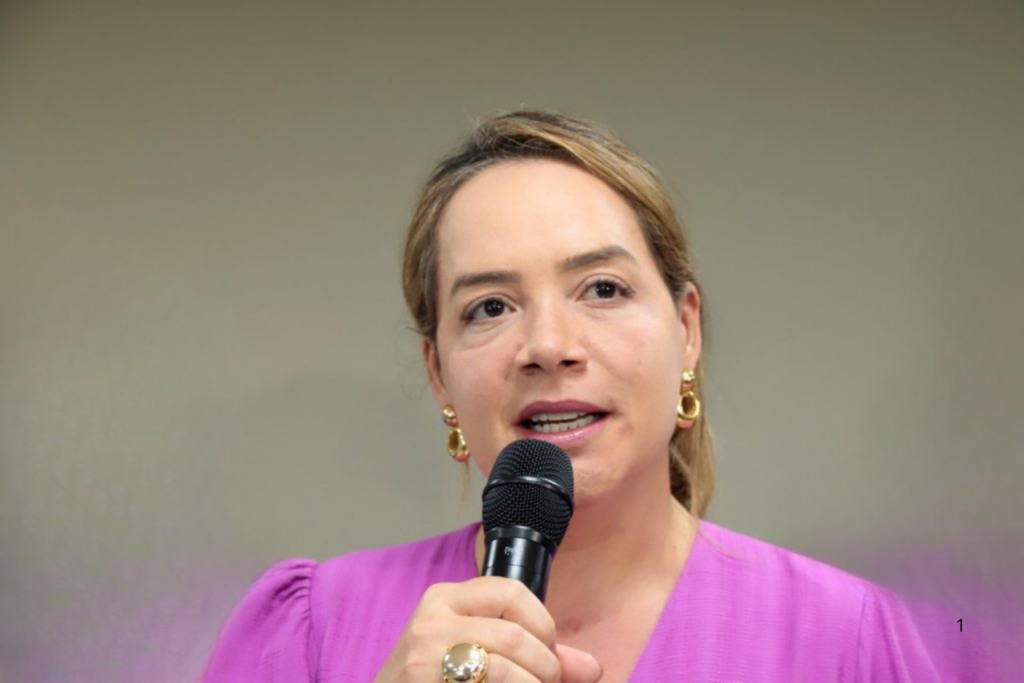 REPÚDIO: Nota de Solidariedade da Câmara Após Ataque Violento a Vereadora Lucilene Vale