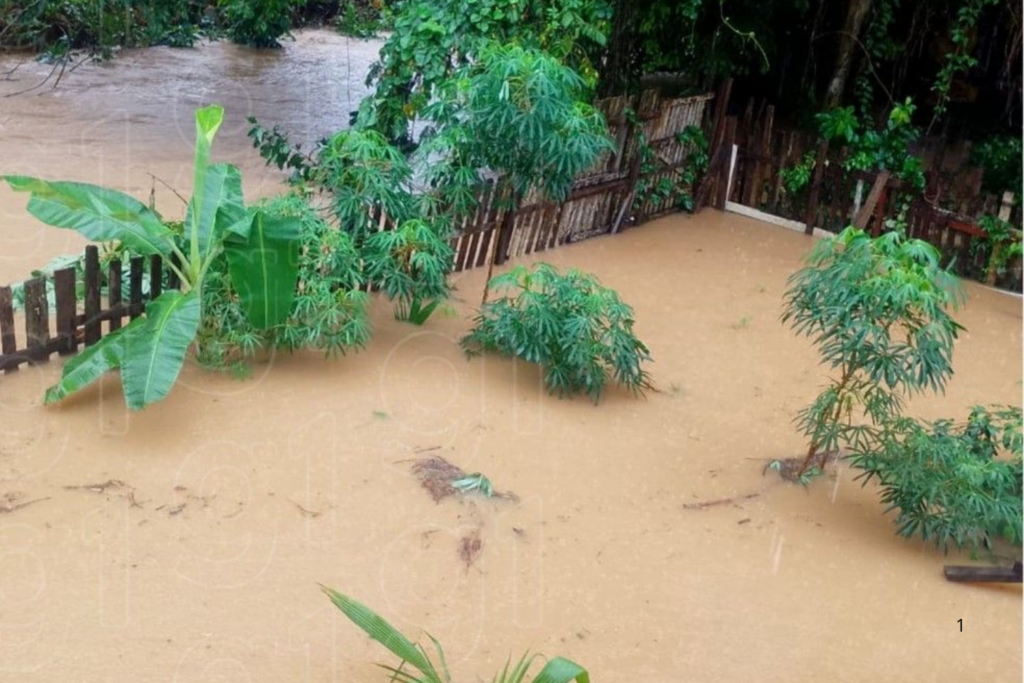 TRANSTORNO: Rio Acre Transborda com Risco de Inundações e Alagamentos em Rio Branco
