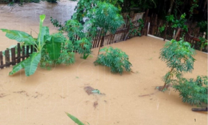 TRANSTORNO: Rio Acre Transborda com Risco de Inundações e Alagamentos em Rio Branco
