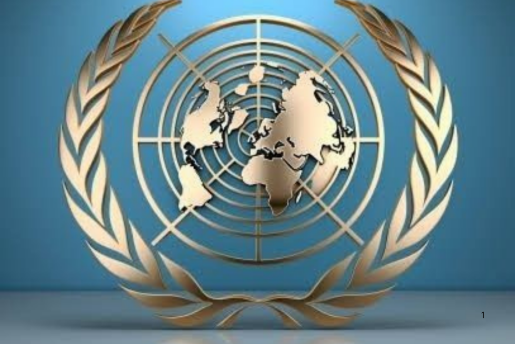 MEDIAÇÃO: Conselho de Segurança da ONU Divulga Declaração após Reunião de Emergência Solicitada pela Colômbia