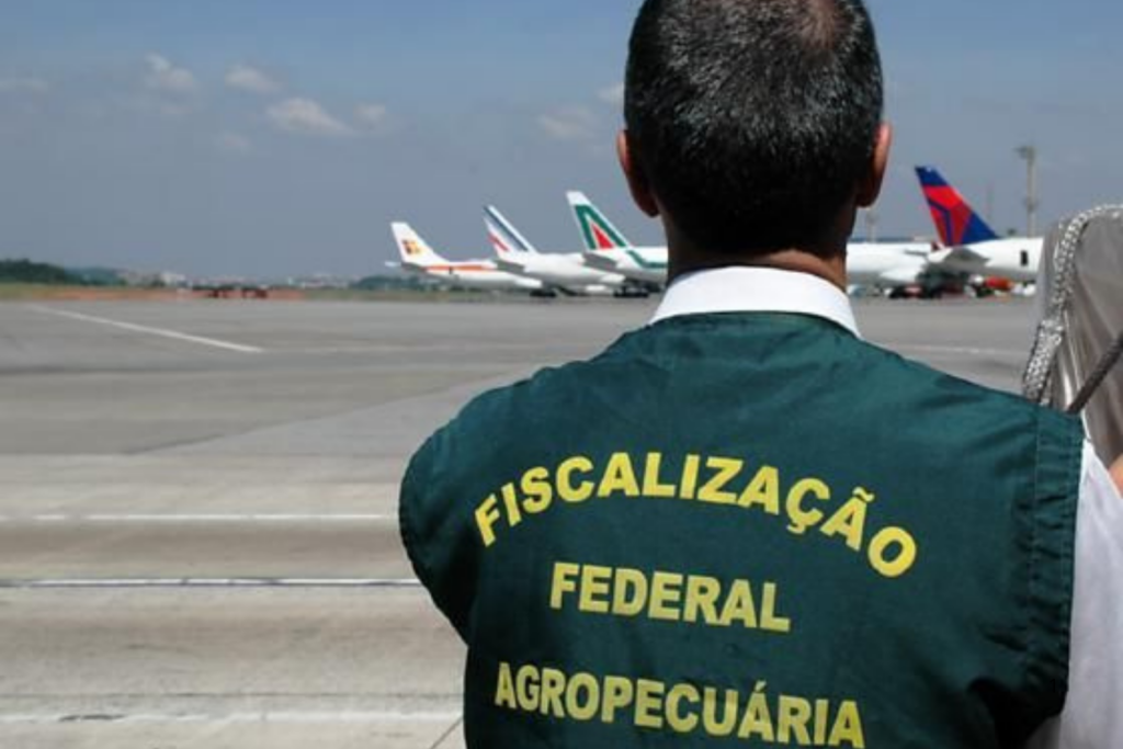 Governo amplia a fiscalização de alimentos trazidos do exterior. Veja o que pode e o que não pode levar na bagagem e os riscos à segurança sanitária.