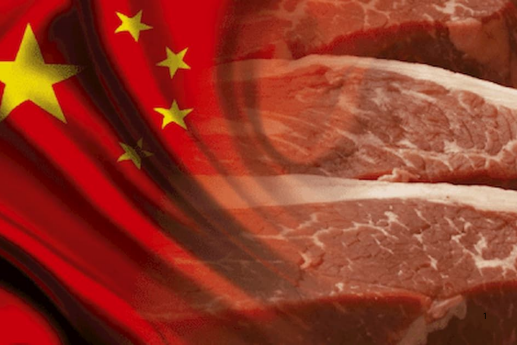 EXPORTAÇÃO: China Taxa Carne Brasileira e Limita o Comércio paara a Gigante Asiática