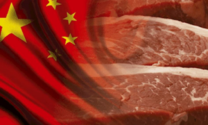 EXPORTAÇÃO: China Taxa Carne Brasileira e Limita o Comércio paara a Gigante Asiática