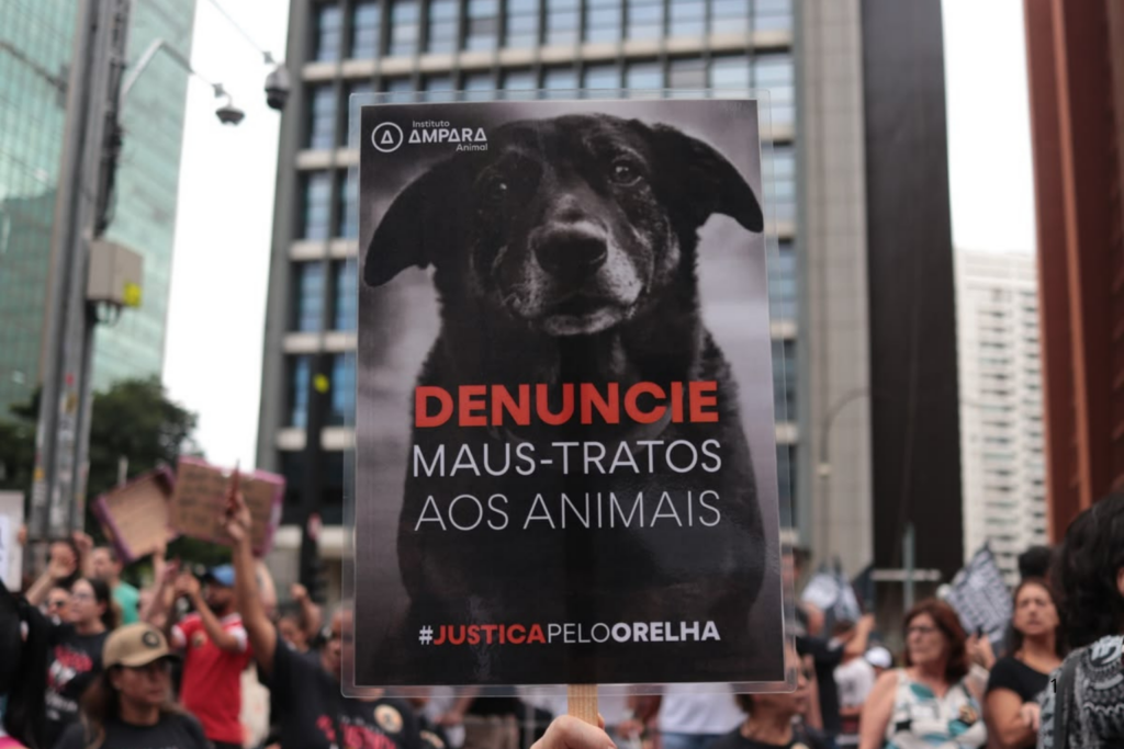 REVOLTA: Manifestantes se Reúnem na Avenida Paulista para Cobrar Justiça pela Morte do Cão Orelha