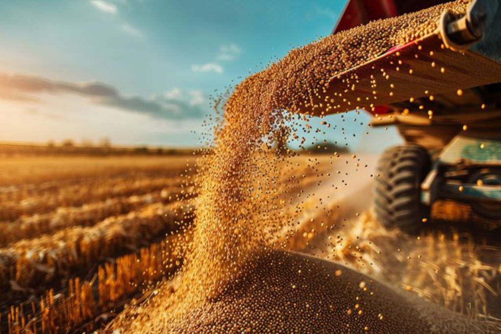 PRODUÇÃO: Safra Recorde Mostra a Força do Agro Brasileiro, mas os Números Também Acendem Alertas