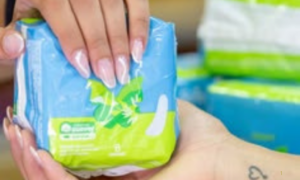 SERVIÇO: SUS Oferece Absorventes Gratuitos e Atendimento Integral à Saúde da Mulher; Saiba quem tem Direito