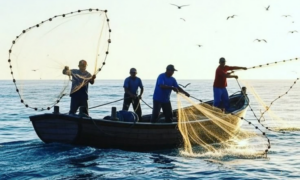 PAGAMENTO: Seguro-Defeso tem Prazo Ampliado para Pescadores Artesanais; Saiba Quando e como Solicitar