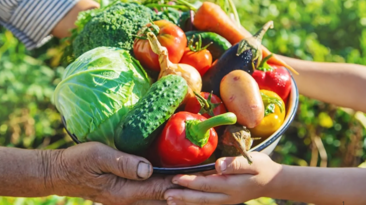 REGRAS: Governo Aumenta para 45% a Exigência de Compra da Agricultura Familiar para Merenda Escolar
